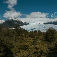 périto plus non glacier, los glaciaires nationale parc, Père Noël cruz province, patagonie Argentine. photo