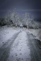route forestière d'hiver dans les montagnes photo