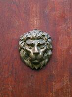 bronze tête de Lion sur rouge en bois texture. tête de Lion sur rouge porte. photo