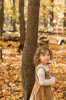 peu enfant fille dans l'automne parc. mode de vie, tomber saison et les enfants concept. photo