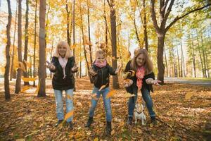 grand-mère et mère avec petite fille jeter en haut tomber feuilles dans l'automne parc et ayant amusement. génération, loisir et famille concept. photo