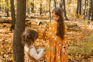 content les enfants en jouant dans magnifique l'automne parc sur chaud ensoleillé tomber journée. peu sœurs jouer avec d'or érable feuilles - amusant, loisir et enfance concept photo