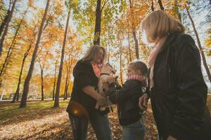 grand-mère et mère avec petite fille ayant amusement avec chien dans l'automne saison. génération, loisir et famille concept photo