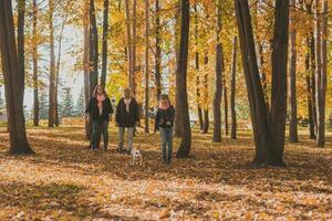 grand-mère et mère avec petite fille des promenades ensemble dans l'automne parc et ayant amusement. génération, loisir et famille concept. photo