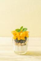 mangue fraîche faite maison et myrtille fraîche avec yaourt et granola - style alimentaire sain photo