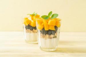 mangue fraîche faite maison et myrtille fraîche avec yaourt et granola - style alimentaire sain photo