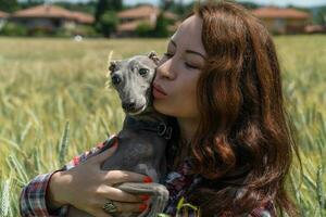 proche en haut vue de content femme avec levrette chien dans le milieu de une blé champ. la nature et animaux concept. photo