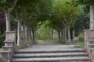 le parc avec les arbres photo