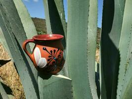 pulqué et maguey le essence de Mexique riches culturel patrimoine photo