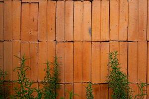 ancien rouge brique mur Contexte trop développé avec lierre photo