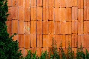 ancien rouge brique mur Contexte trop développé avec lierre photo