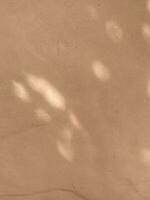 feuilles ombre Contexte sur béton mur texture, feuilles arbre branches ombre photo