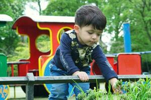 mignonne asiatique pakistanais bébé est profiter le magnifique ensoleillé journée à mise en garde les enfants et Publique parc de luton ville de Angleterre Royaume-Uni. faible angle image a été capturé sur avril 03ème, 2023 photo