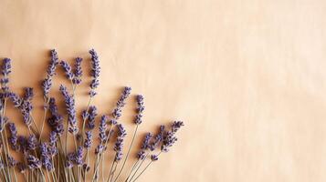 bouquet de lavande fleurs. lavande sec violet fleurs. minimal plat poser, copie espace Contexte. ai généré photo