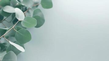 feuilles sur une mur. plat lat de eucalyptus vert branches. ai généré photo