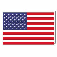 vecteur image illustration de américain drapeau isloaled sur blanc Contexte photo