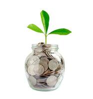 plante à feuilles vertes sur économiser des pièces d'argent, finance d'entreprise économiser le concept d'investissement bancaire. photo