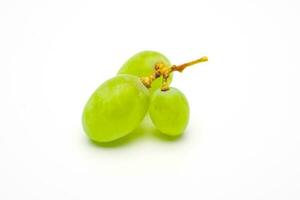 vert les raisins isolé. réaliste vert les raisins sur une blanc Contexte. photo