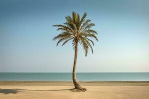 paume arbre sur un vide plage la photographie génératif ai photo