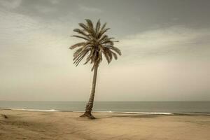 paume arbre sur un vide plage la photographie génératif ai photo