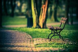 banc dans le parc photo