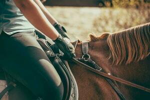 à cheval équitation détails photo