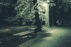 parc banc à nuit photo