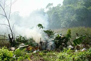 brûlant feuille litière causes épais fumée la pollution photo