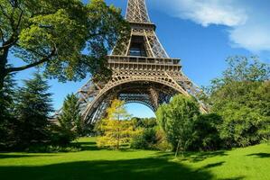 des arbres dans parc de Paris photo