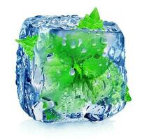 menthe dans la glace cube photo