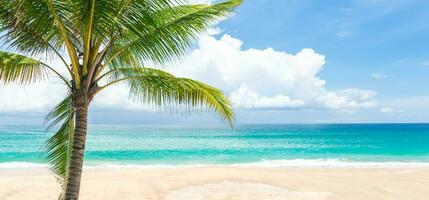panorama paysage de tropical été plage le sable et magnifique ciel Contexte. photo