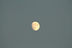 le lune brille dans le soir ciel photo