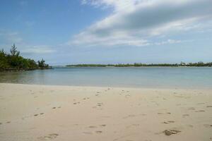 vue de calme l'eau de une plage avec pied impressions dans le le sable photo