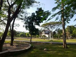 ombragé des arbres dans une ville parc dans le ville de matarame, lombok île, Indonésie photo