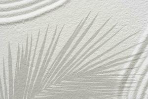 Zen jardin blanc le sable avec paume feuilles ombre sur ligne modèle dans Japonais style, le sable texture surface avec vague parallèle lignes, arrière-plan spa thérapie, pureté harmonie, équilibre, méditation, zen comme concept photo