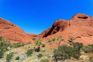 kata tjuta park territoire du nord australie photo