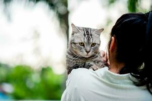 femme en portant chat en jouant à Accueil avec l'amour pour chats le sourire des reflets dans le sien liaison avec le sien duveteux animal de compagnie chat. le relation de gens et chats, chat les propriétaires, national chats, graisse chats photo