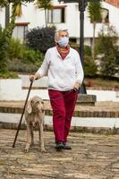 Sénior femme portant une Accueil fabriqué visage masque et ayant une court marcher en plein air avec sa animal de compagnie pendant le coronavirus quarantaine désescalade photo