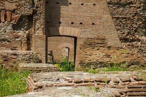 ruines de le palais de septime séverus ou domus severiana sur le palatin colline photo