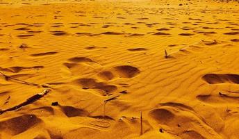 vue à faible angle de la plage de sable doré, karpasia, chypre photo