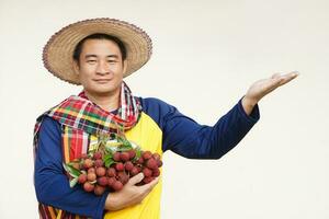 Beau asiatique homme agriculteur porte chapeau, Jaune chemise, détient litchi des fruits. concept, agriculture profession. thaïlandais Les agriculteurs grandir biologique litchis comme un exportation produit de Thaïlande. photo