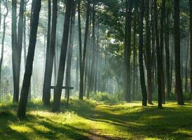 la nature vert paysage ciel Contexte photo