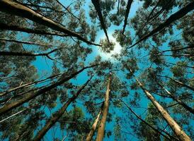 la nature vert paysage ciel Contexte photo