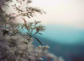 la nature vert paysage ciel Contexte photo