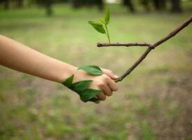 la nature vert paysage ciel Contexte photo