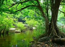 la nature vert paysage ciel Contexte photo