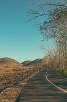 une marron route dans Indonésie photo