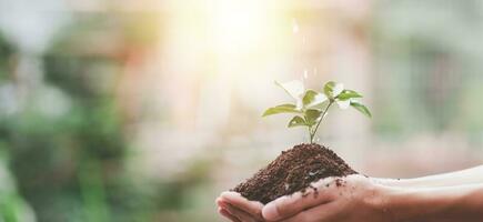 plantation des arbres réduire global réchauffement, prévention et traitement air la pollution , environnemental et écologique campagne ,vert énergie innovation et écologiquement amical énergie La technologie ,économie monde photo