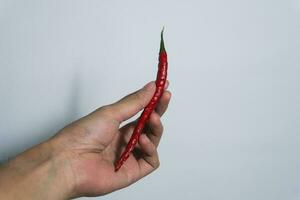 femme les doigts en portant une magnifique rouge chaud le Chili poivre. isolé sur blanc Contexte. vide endroit pour texte. photo