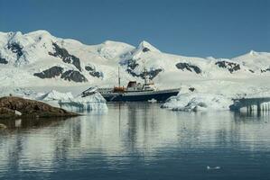 expédition croisière dans Neko port baie, Antarctique photo